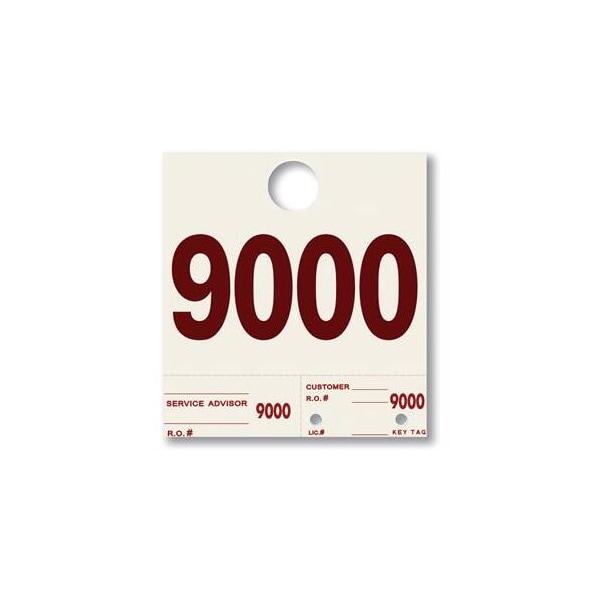 Asp Hvy Stock Side Padded Dispatch Nums, 6 1/2"X7 1/4", Set: 9000-9999 Pk 289 - main